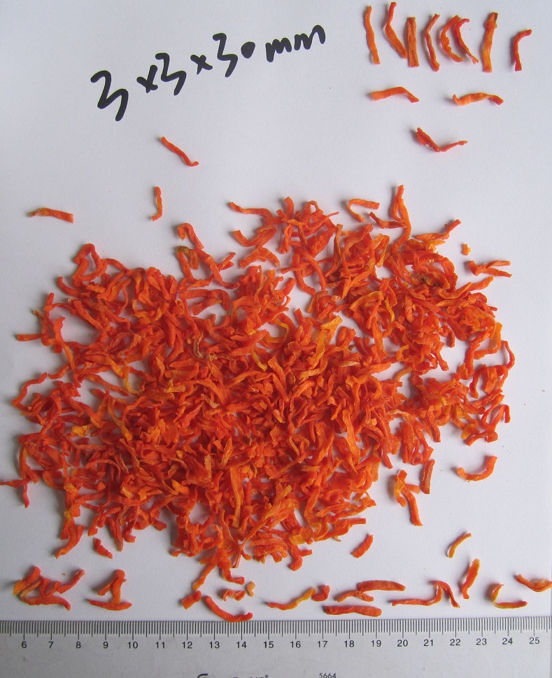 Dehydrated Carrot Strip