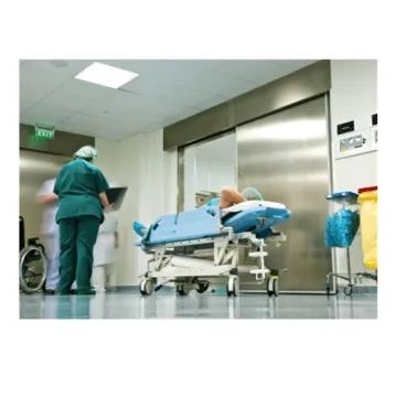 Fuji 1.6 Tons Hospital Elevator with Three Side Handrails