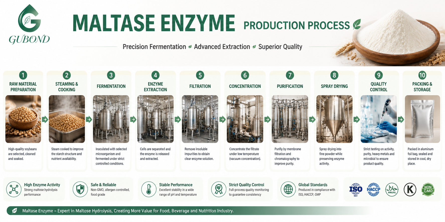 Maltase