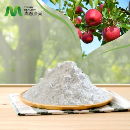 Freeze Dried Apple Powder