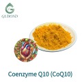 Coenzima Q10 (ubiquinona) en polvo 98%