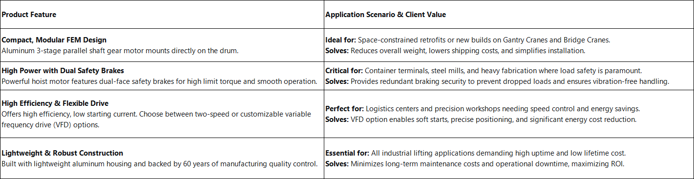 LiYuan Gantry Crane Hoist Drive Motor Performance