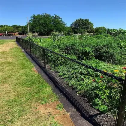 Galvanized Iron Wire Mesh Chain Link
