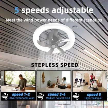 Low Profile Ceiling Fan with Integrated Light