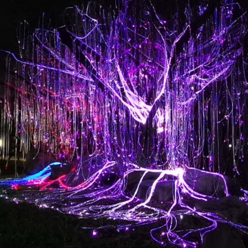 Waterproof Outdoor Tree LED Fiber Optic Lights - High-Quality & Customizable