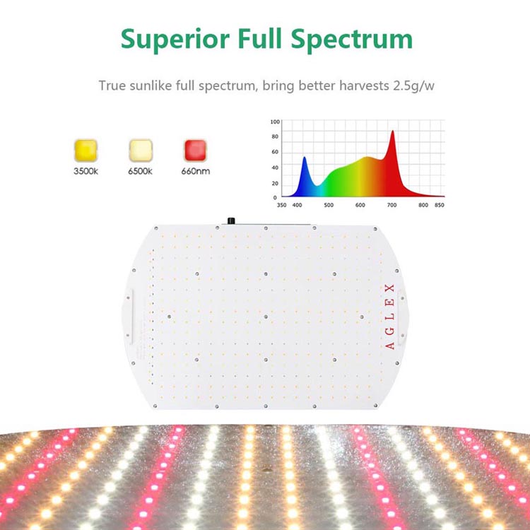 Lampada di coltivazione quantistica US CA SCOTOLA CASCIO 180W