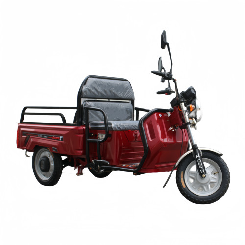 1,1 млнейшего электрического трехколесного велосипеда