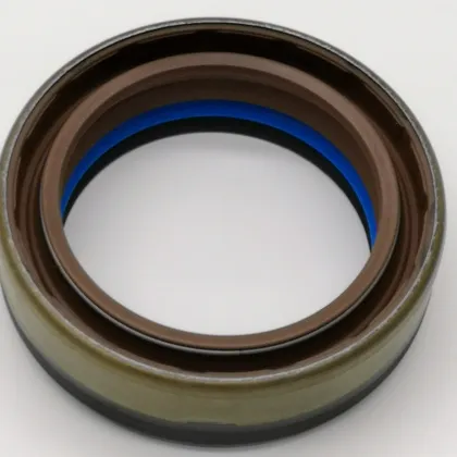 DMHUI Factory Directly Supplies COMBI SF19 Type 12036965B FPM Oil Seal for 370815