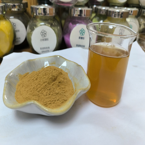 Organic Carrot Powder Rich in Beta-Carotene