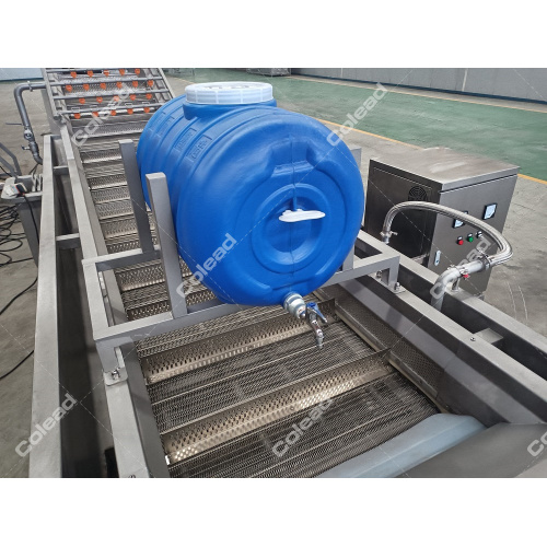 Tomato Bubble Washing Machine for salad processing line