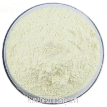 Garcinia Cambogia Extract powder