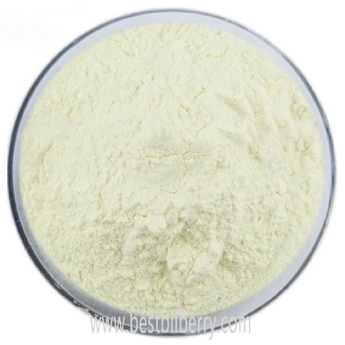 Garcinia Cambogia Extract powder