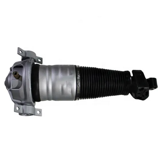 Wholesale Diesel Engine Spare Parts: Shock Absorber 7L5616019D 7L8616019C for VW