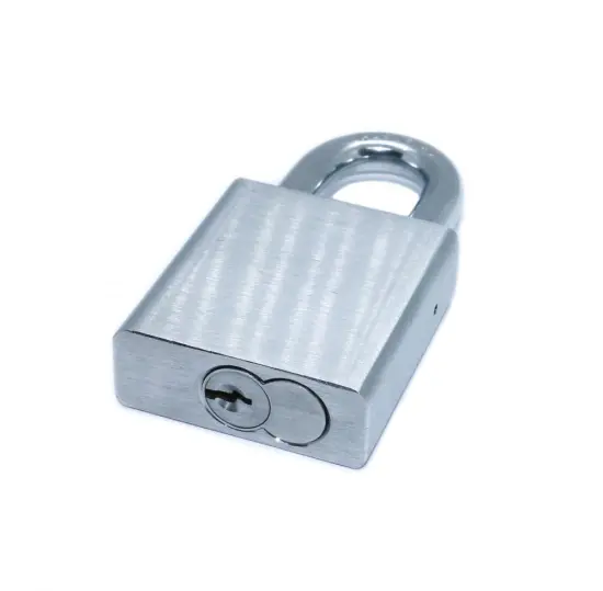 High Security SFIC Cylinder Brass Lockout Padlock