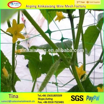 Agriculture Net Greenhouse Plant Support Net (factory )