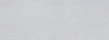 300x800mm Matt Finish Glazed Interior Wall Tiles