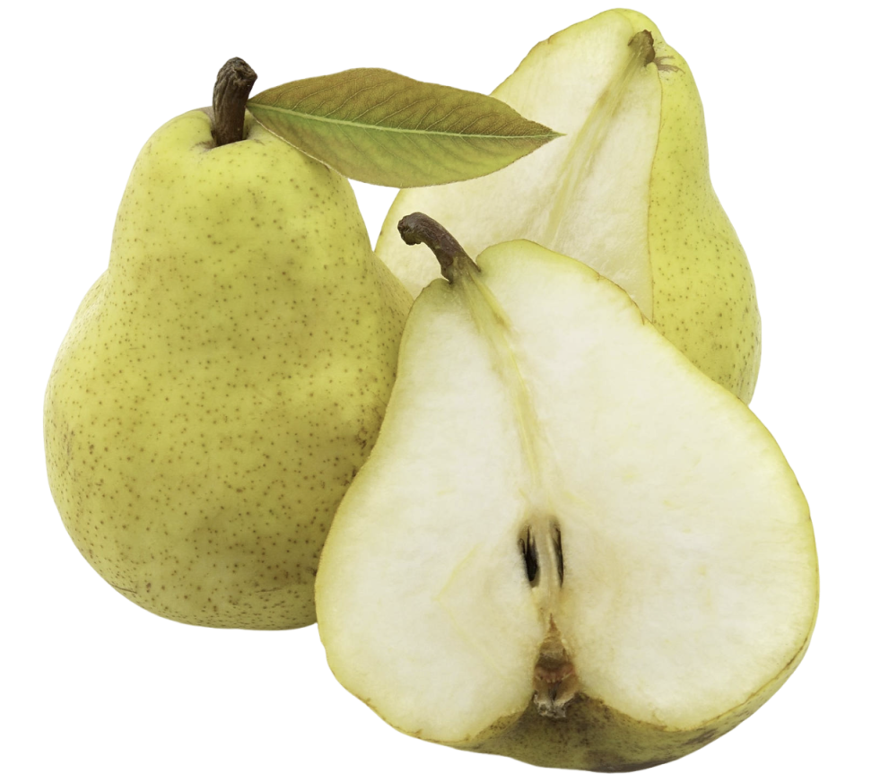 snow pear