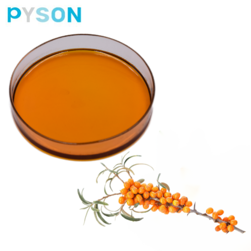 Sea Buckthorn Seed Oil with High Quality