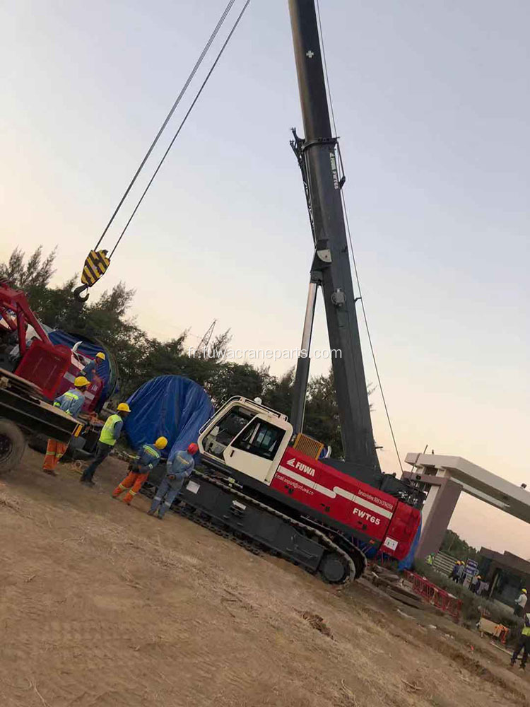 Grane de chantiers de boom télescopique