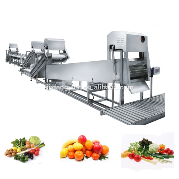 XYXC-C11 Commercial processing equipment leafy vegetable washing machine