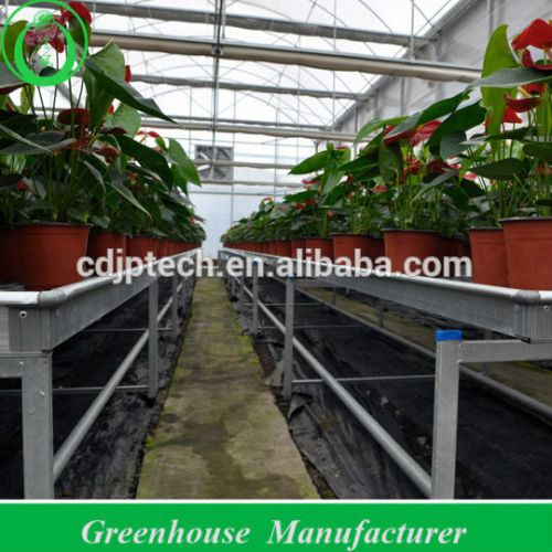 Greenhouse Bench
