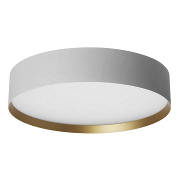 Flush τοποθετημένα φώτα οροφής LED LED για διακόσμηση σπιτιού