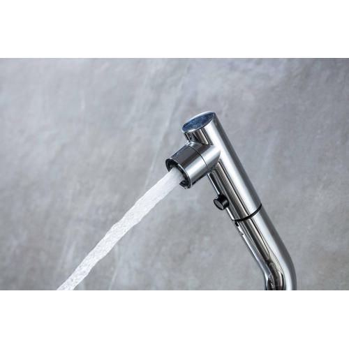 Supporting Chrome Brass Single Handle Pull Out Faucet