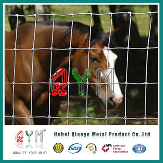 Electro Galvanized Farmland Cattle Cow Fence with Low Cost