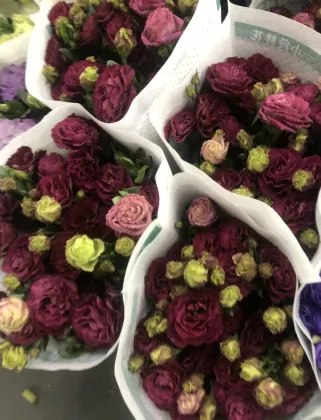 Fresh Cut Flower Burgundy Lisianthus Wholesale for Bouquet