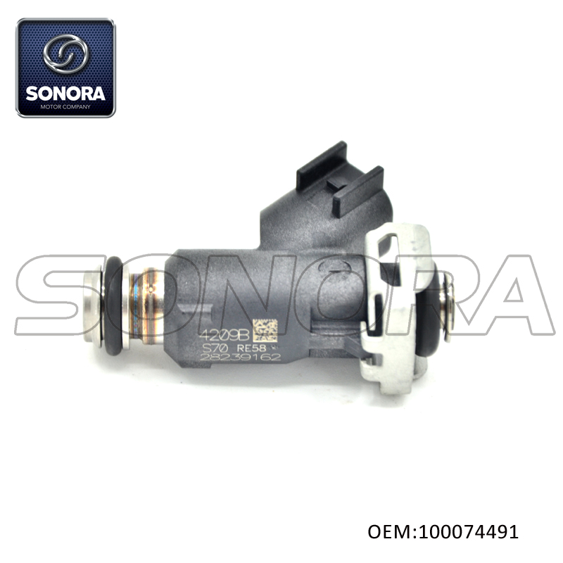 100074491 NX250 ZY125SR Fuel Injector (3)