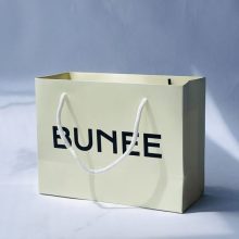 Shopping Paper Bags with Custom Logo and Ribbon