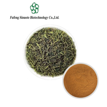 High-Quality Eucommia Male Flower Extract Powder for Dietary Supplements