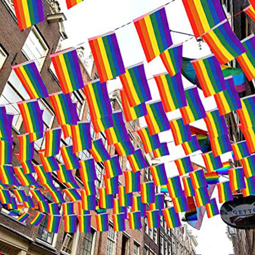 Hochwertige Polyesterschnur Rainbow Bunting Flag