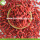 New Harvest Factory Supply Dried Ningxia Wolfberry