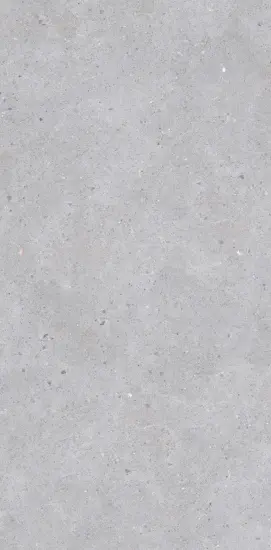 Terrazzo Look 600*1200mm Matt Surface Porcelain tiles