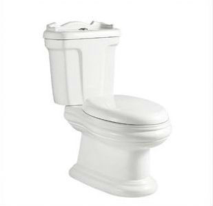 white elegant two-piece toilet