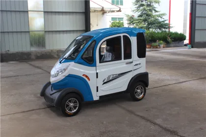 elderly electric car prices elderly electric car plans