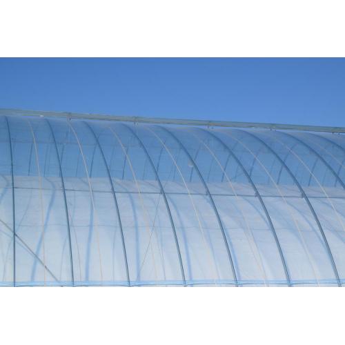 Solar Optic Greenhouse Industry Green House Factory