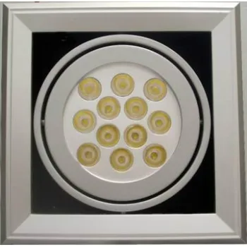LED Ceiling Lamp with High Quality 12w