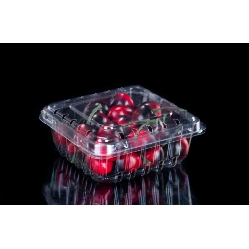 Low-profile Clamshell Ventilated Fruit Container