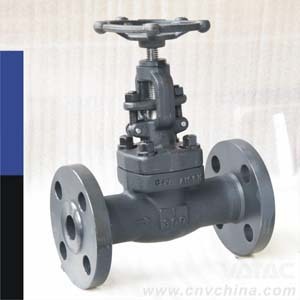 Rising Stem Flanged Cast Steel Gate Valve