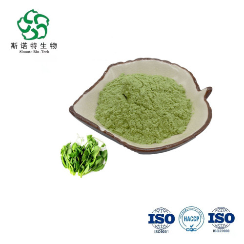 Organic Moringa Leaf Extract