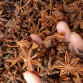 Chinese Anise Star Seed Granule