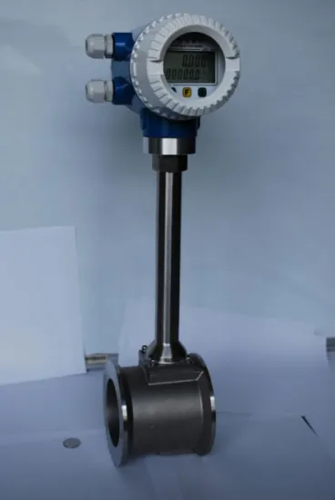 Gas flow meter,flange