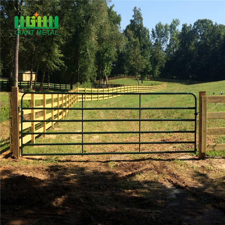 Livestock panels cattle fence