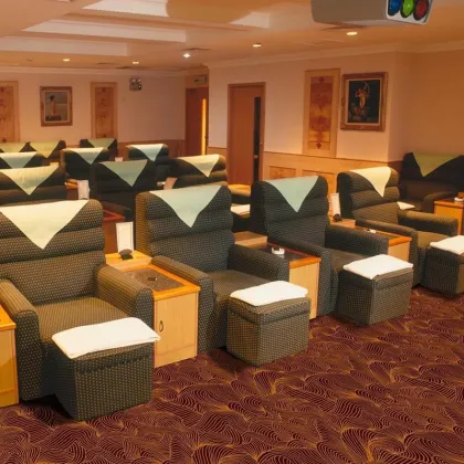 Custom Cinema Wall-to-Wall Carpets Woven Axminster Carpet