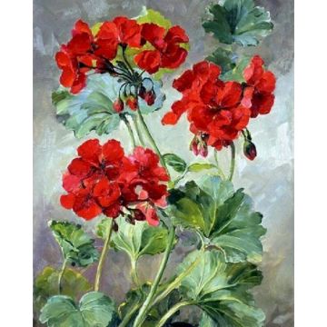 RUOPOTY 60x75cm Frame Diy Painting By Numbers Kits Red flowers Acrylic Paint On Canvas Diy Gift Home Decor Handmade Wall Craft