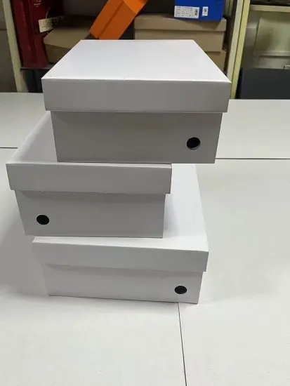 Premium Quality Shoe Box Organizer