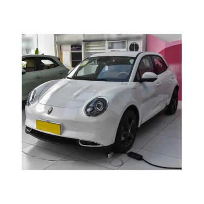 Used Car Prices for Great Wall Motor Euler Good Cat 2024 401km Comfort Model