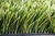 Do not miss this new type of soccer artificial grass